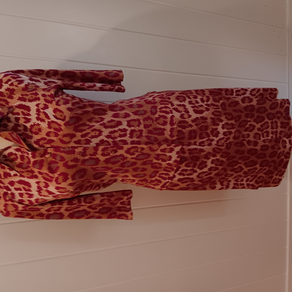 Leopard Print Long Sleeve Dress